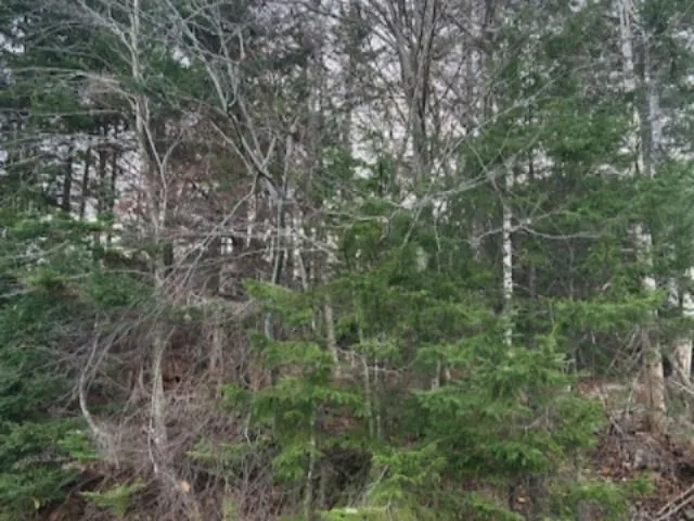 Lakeview Avenue Lot 32, Middle Sackville Ns B4e 3b8, ,Land,For Sale,Lakeview,202425691