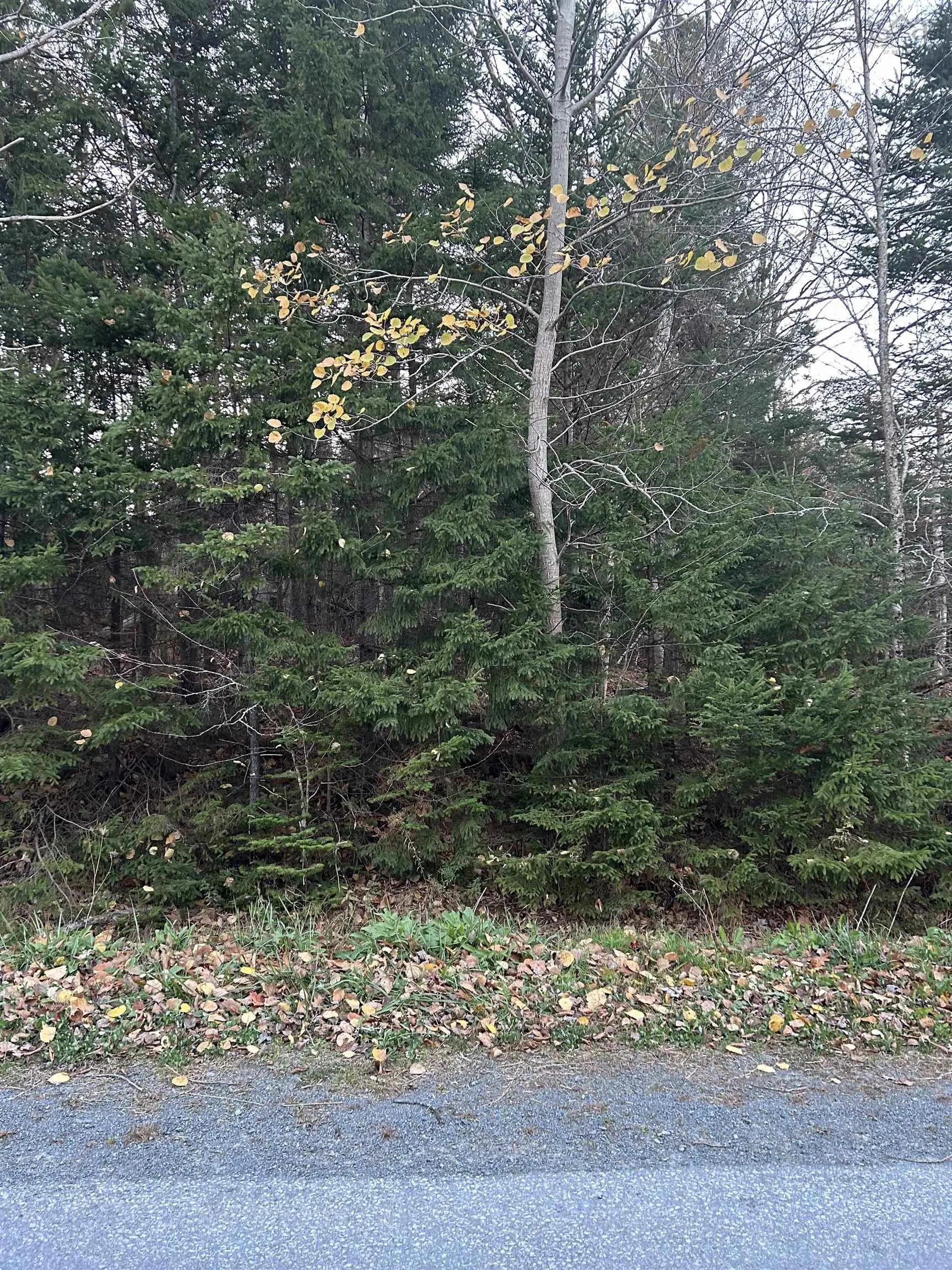 Lakeview Avenue Lot 32, Middle Sackville Ns B4e 3b8, ,Land,For Sale,Lakeview,202425691