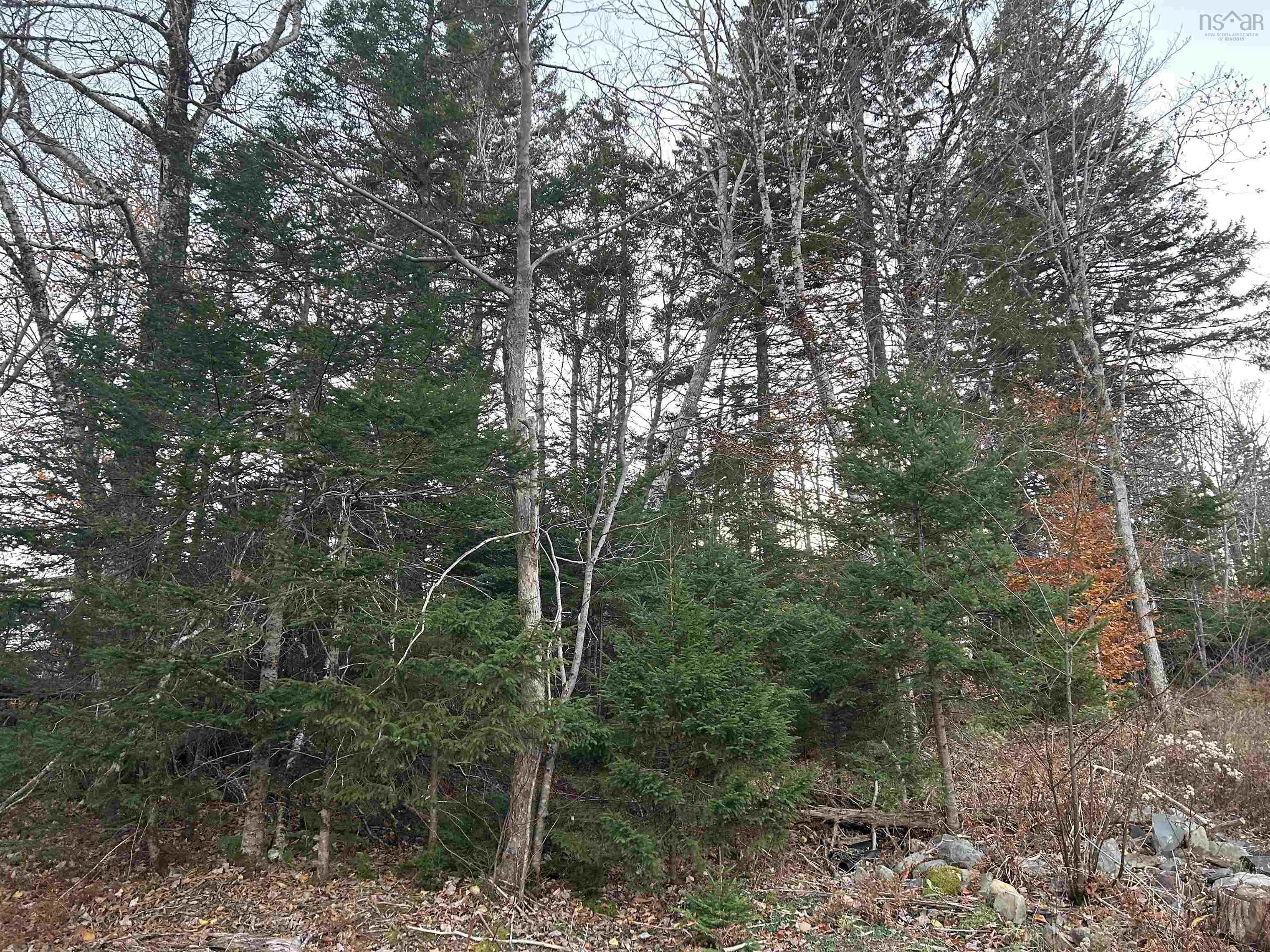 Lakeview Avenue Lot 32, Middle Sackville Ns B4e 3b8, ,Land,For Sale,Lakeview,202425691