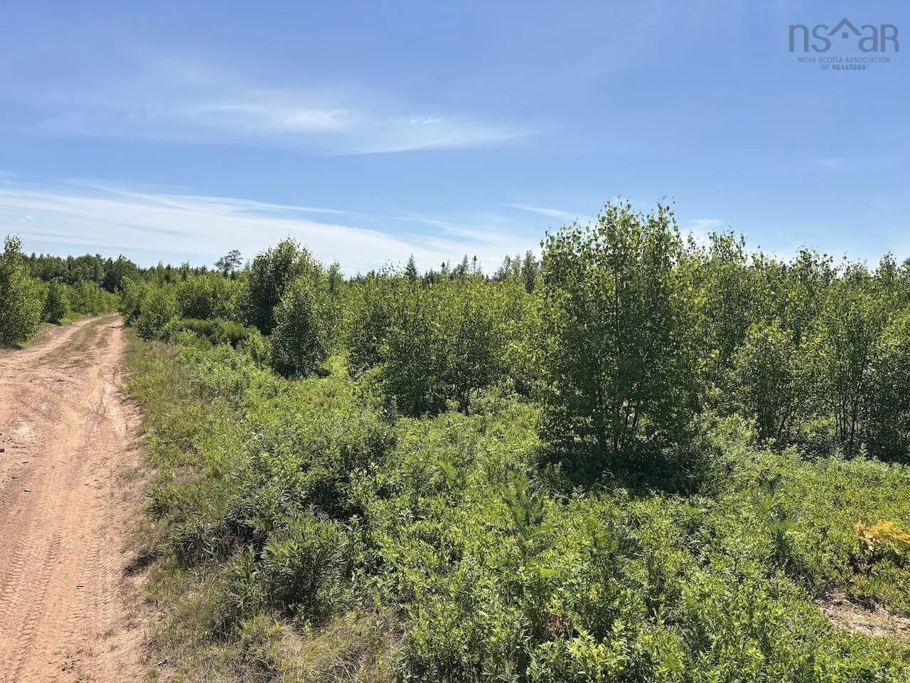 Hunter Road, Wentworth, NS B0M 1Z0, ,Land,For Sale,Hunter,202517458