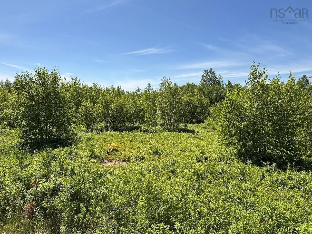 Hunter Road, Wentworth, NS B0M 1Z0, ,Land,For Sale,Hunter,202517458