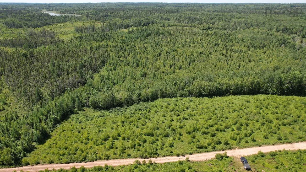 Hunter Road, Wentworth, NS B0M 1Z0, ,Land,For Sale,Hunter,202517458