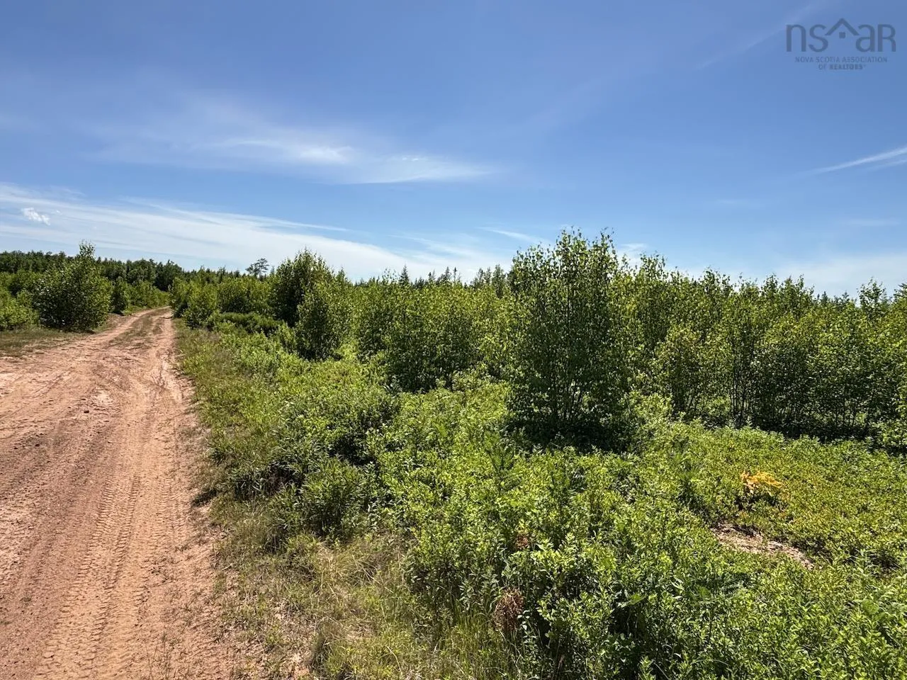 Hunter Road, Wentworth, NS B0M 1Z0, ,Land,For Sale,Hunter,202517458