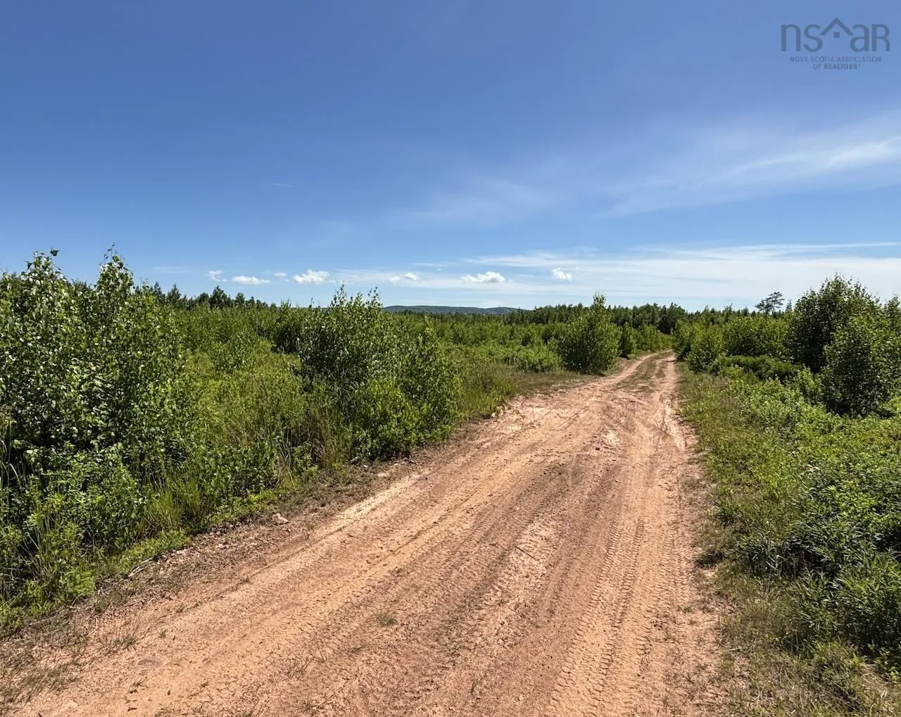 Hunter Road, Wentworth, NS B0M 1Z0, ,Land,For Sale,Hunter,202517458