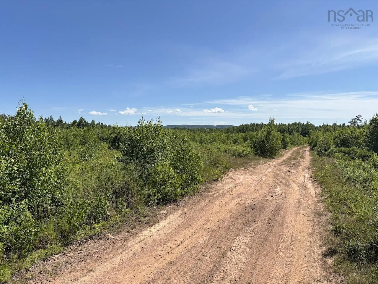 Hunter Road, Wentworth, NS B0M 1Z0, ,Land,For Sale,Hunter,202517458