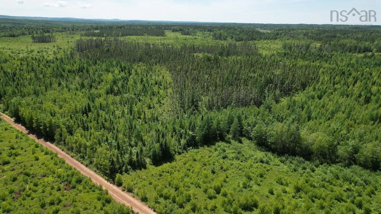 Hunter Road, Wentworth, NS B0M 1Z0, ,Land,For Sale,Hunter,202517458
