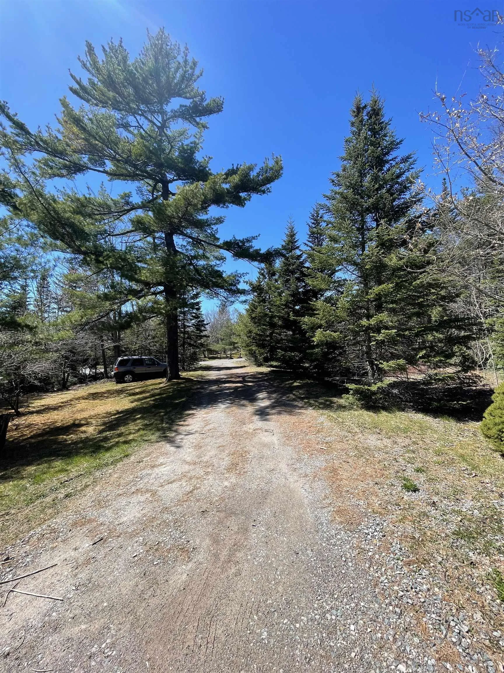 492 Crandall Road, Port Hawkesbury Ns B9a 1w9, ,Land,For Sale,Crandall,202503655