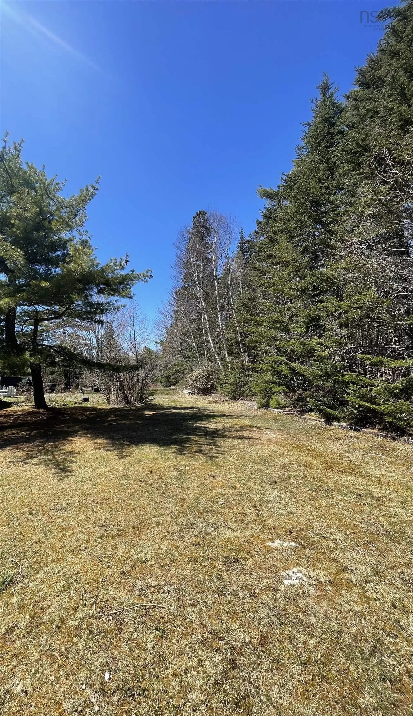 492 Crandall Road, Port Hawkesbury Ns B9a 1w9, ,Land,For Sale,Crandall,202503655