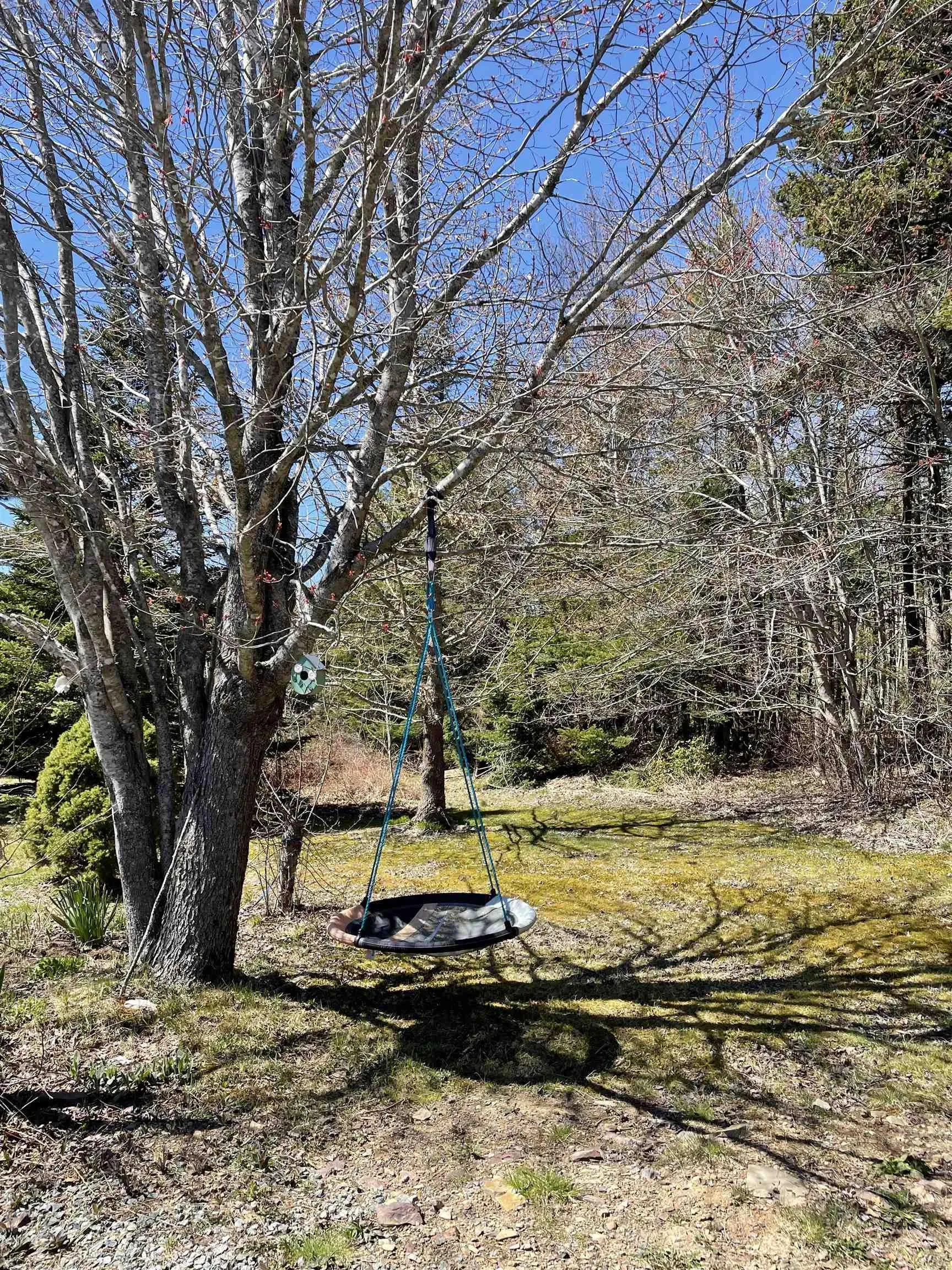 492 Crandall Road, Port Hawkesbury Ns B9a 1w9, ,Land,For Sale,Crandall,202503655