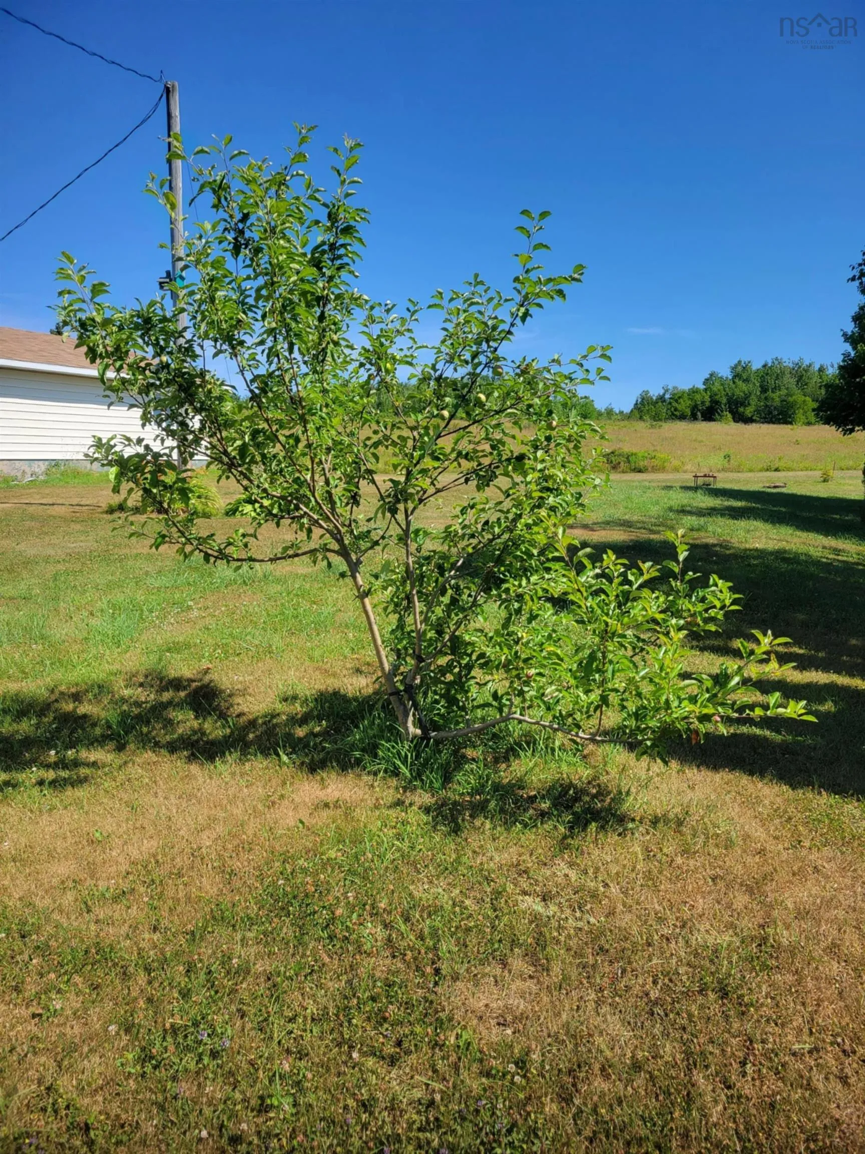 716 Little Pond Road, Florence, NS B1Y 1S7, 2 Bedrooms Bedrooms, ,1 BathroomBathrooms,Residential,For Sale,Little Pond,202519554
