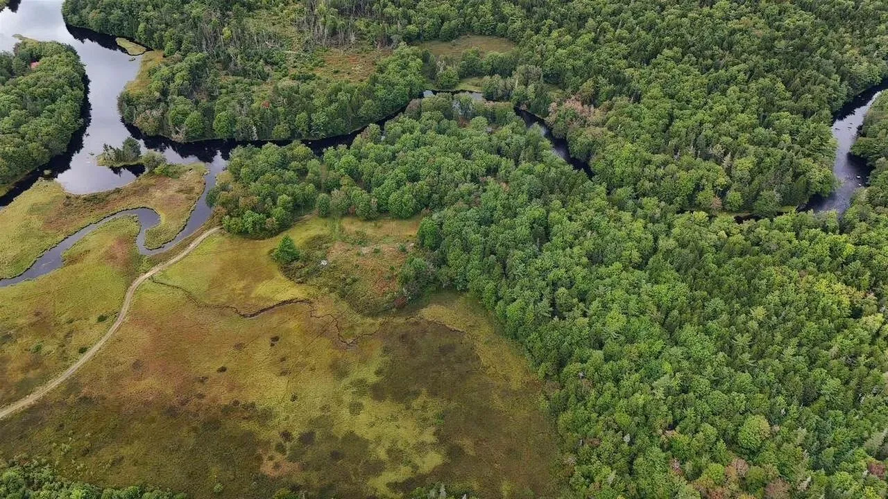 Minor Road, East Kemptville, NS B5A 5P5, ,Land,For Sale,Minor,202519842