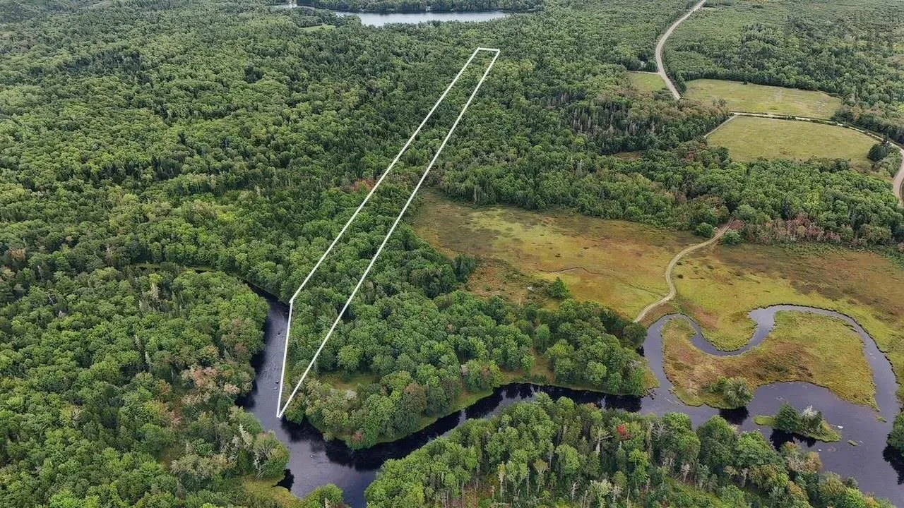 Minor Road, East Kemptville, NS B5A 5P5, ,Land,For Sale,Minor,202519842