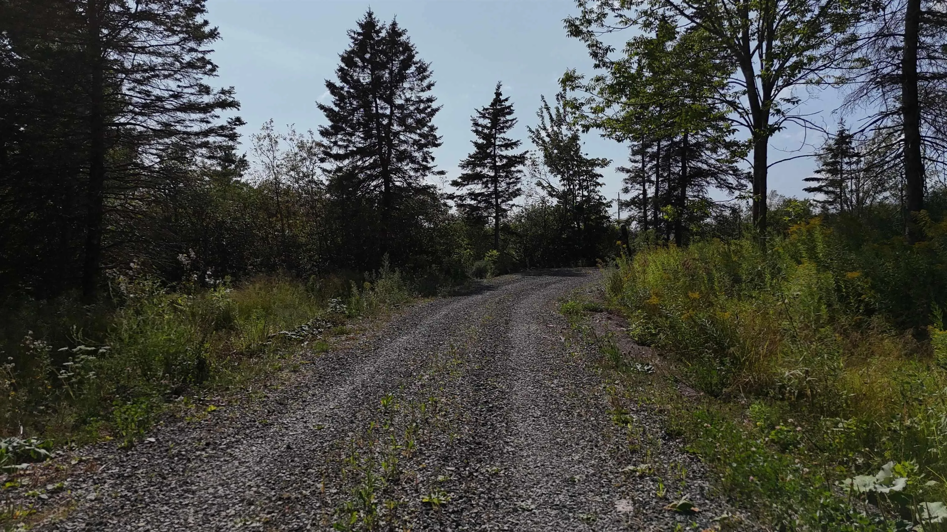 105 Highway, Baddeck Inlet, NS B0E 1B0, ,Land,For Sale,105,202520726