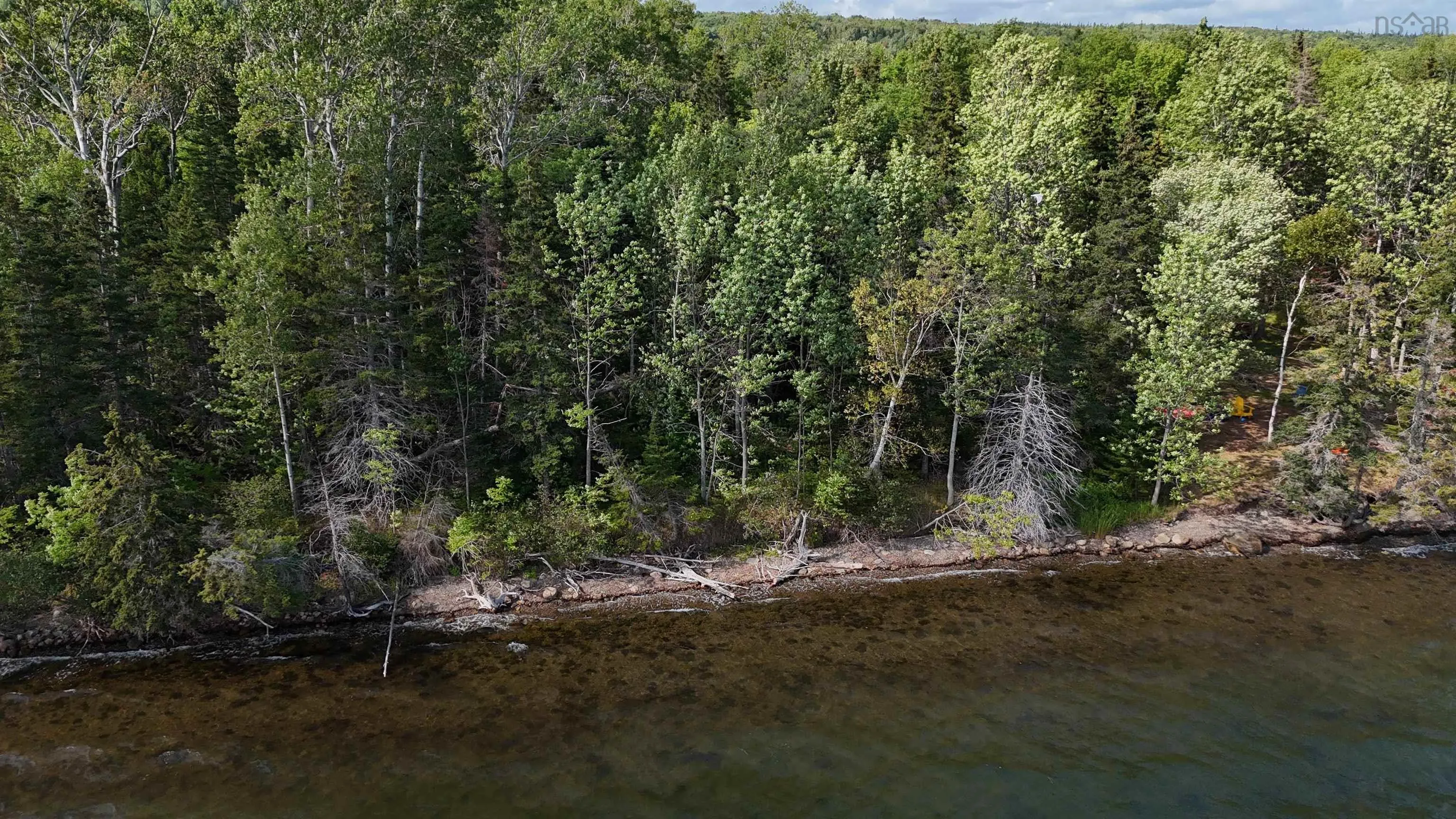 105 Highway, Baddeck Inlet, NS B0E 1B0, ,Land,For Sale,105,202520726