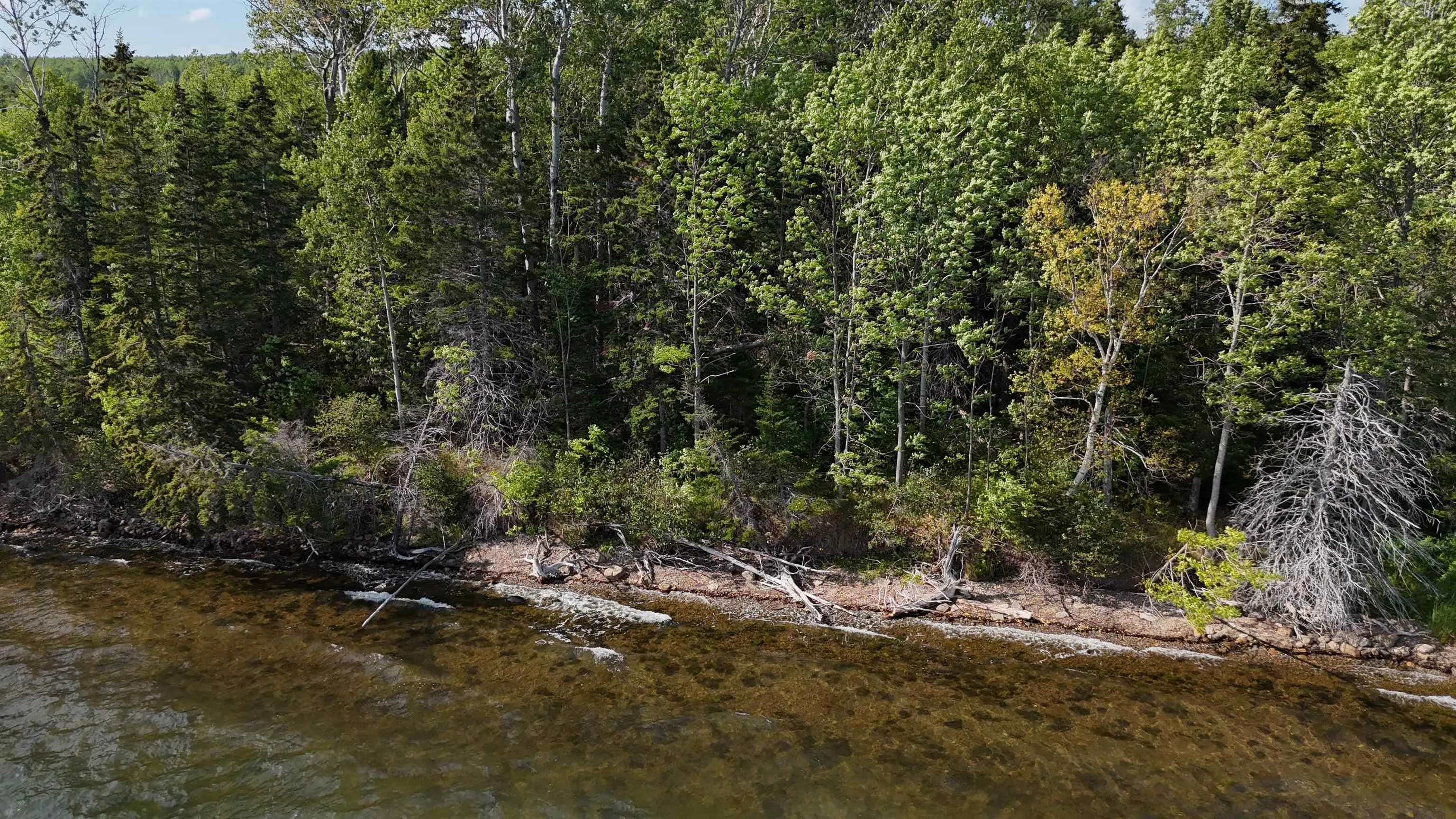 105 Highway, Baddeck Inlet, NS B0E 1B0, ,Land,For Sale,105,202520726