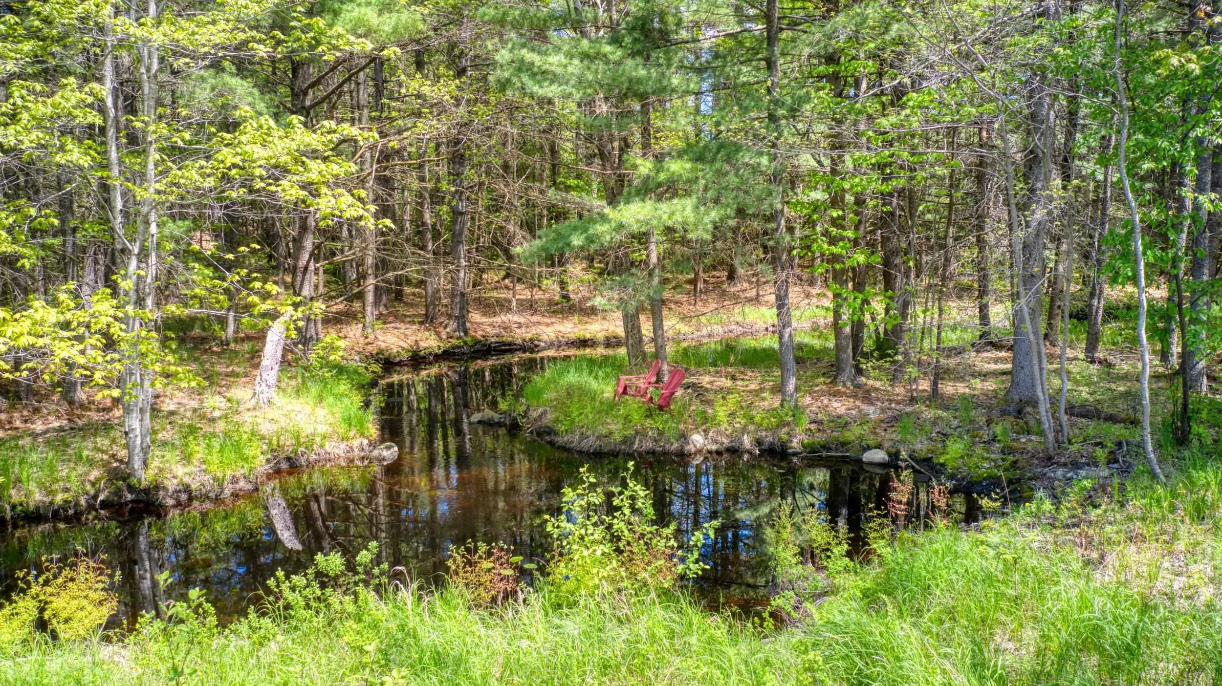 824 Pine Grove Road, Pine Grove, NS B0J 2C0, 2 Bedrooms Bedrooms, ,2 BathroomsBathrooms,Residential,For Sale,Pine Grove,202513036