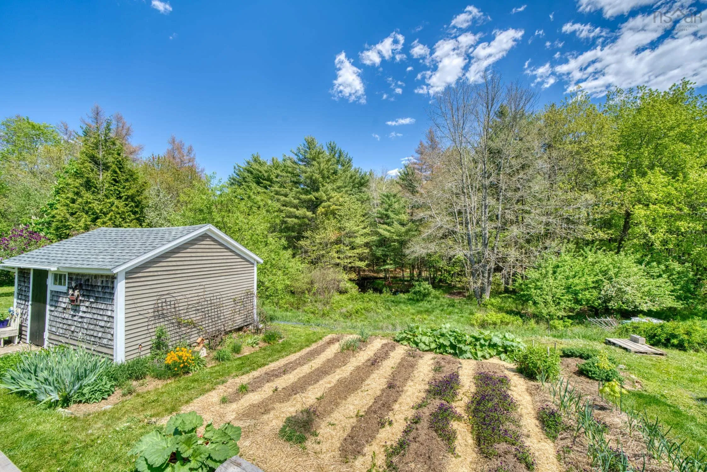 824 Pine Grove Road, Pine Grove, NS B0J 2C0, 2 Bedrooms Bedrooms, ,2 BathroomsBathrooms,Residential,For Sale,Pine Grove,202513036