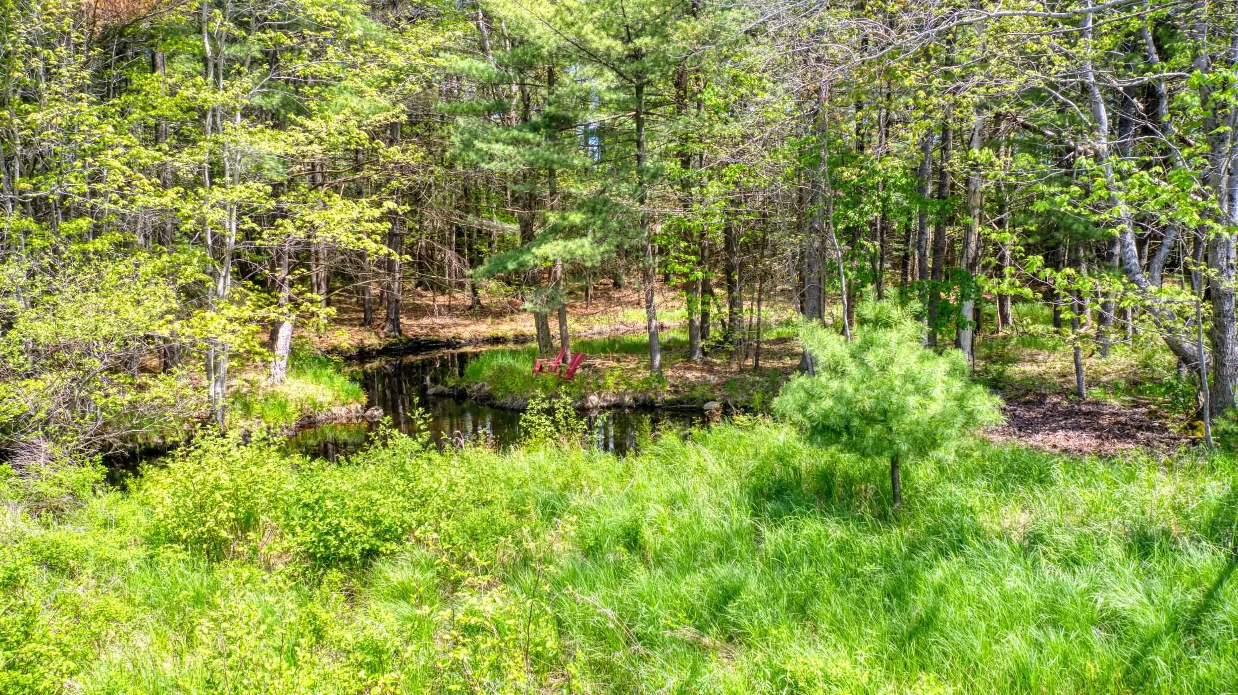 824 Pine Grove Road, Pine Grove, NS B0J 2C0, 2 Bedrooms Bedrooms, ,2 BathroomsBathrooms,Residential,For Sale,Pine Grove,202513036