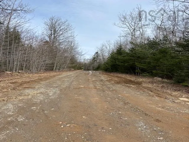 1040 Corkum And Burns Road, Black River Ns B4p 2r2, 2 Bedrooms Bedrooms, ,Residential,For Sale,Corkum And Burns,202507196