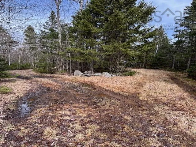 1040 Corkum And Burns Road, Black River Ns B4p 2r2, 2 Bedrooms Bedrooms, ,Residential,For Sale,Corkum And Burns,202507196