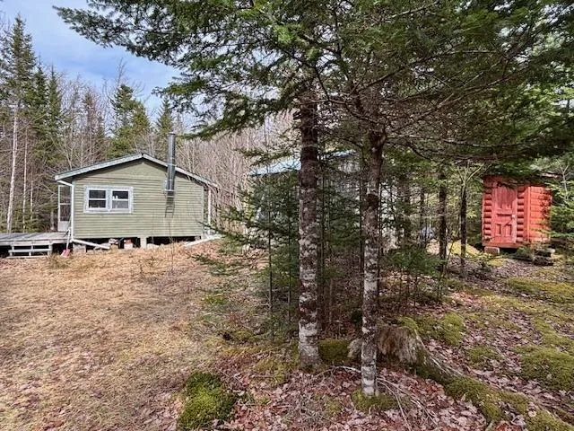 1040 Corkum And Burns Road, Black River Ns B4p 2r2, 2 Bedrooms Bedrooms, ,Residential,For Sale,Corkum And Burns,202507196