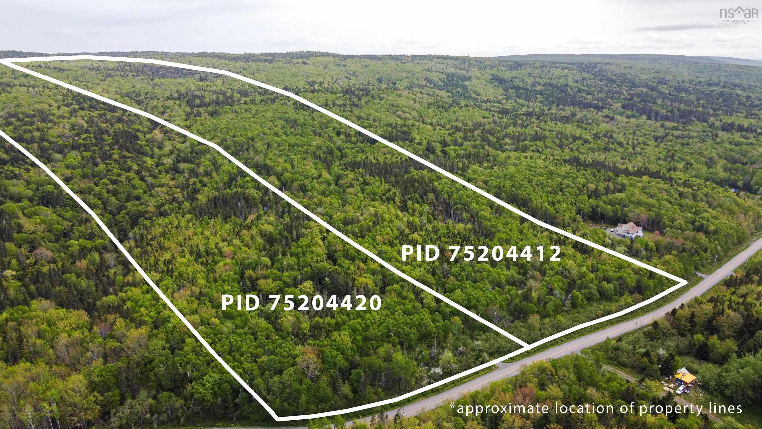 Lot 2001-2c1 West Bay Highway, Roberta NS B0E 2K0, ,Land,For Sale,Lot 2001-2c1 West Bay,202320137