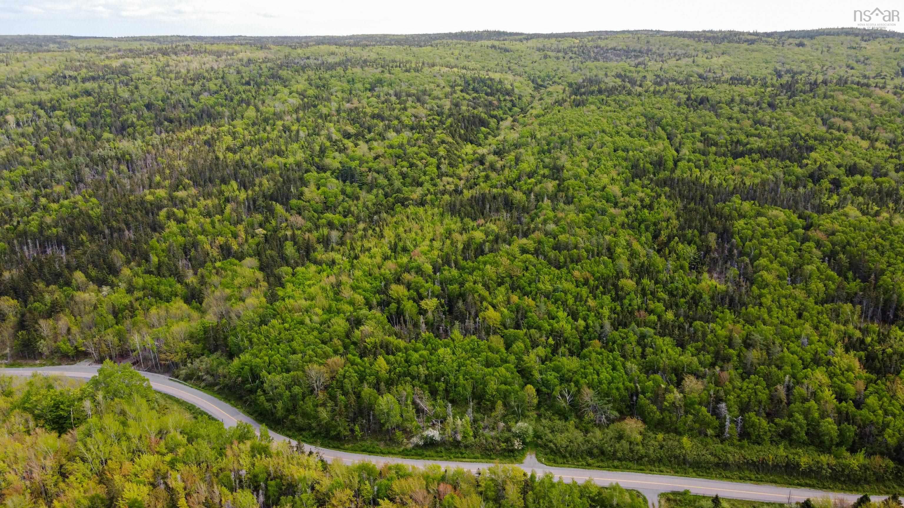 Lot 2001-2c1 West Bay Highway, Roberta NS B0E 2K0, ,Land,For Sale,Lot 2001-2c1 West Bay,202320137