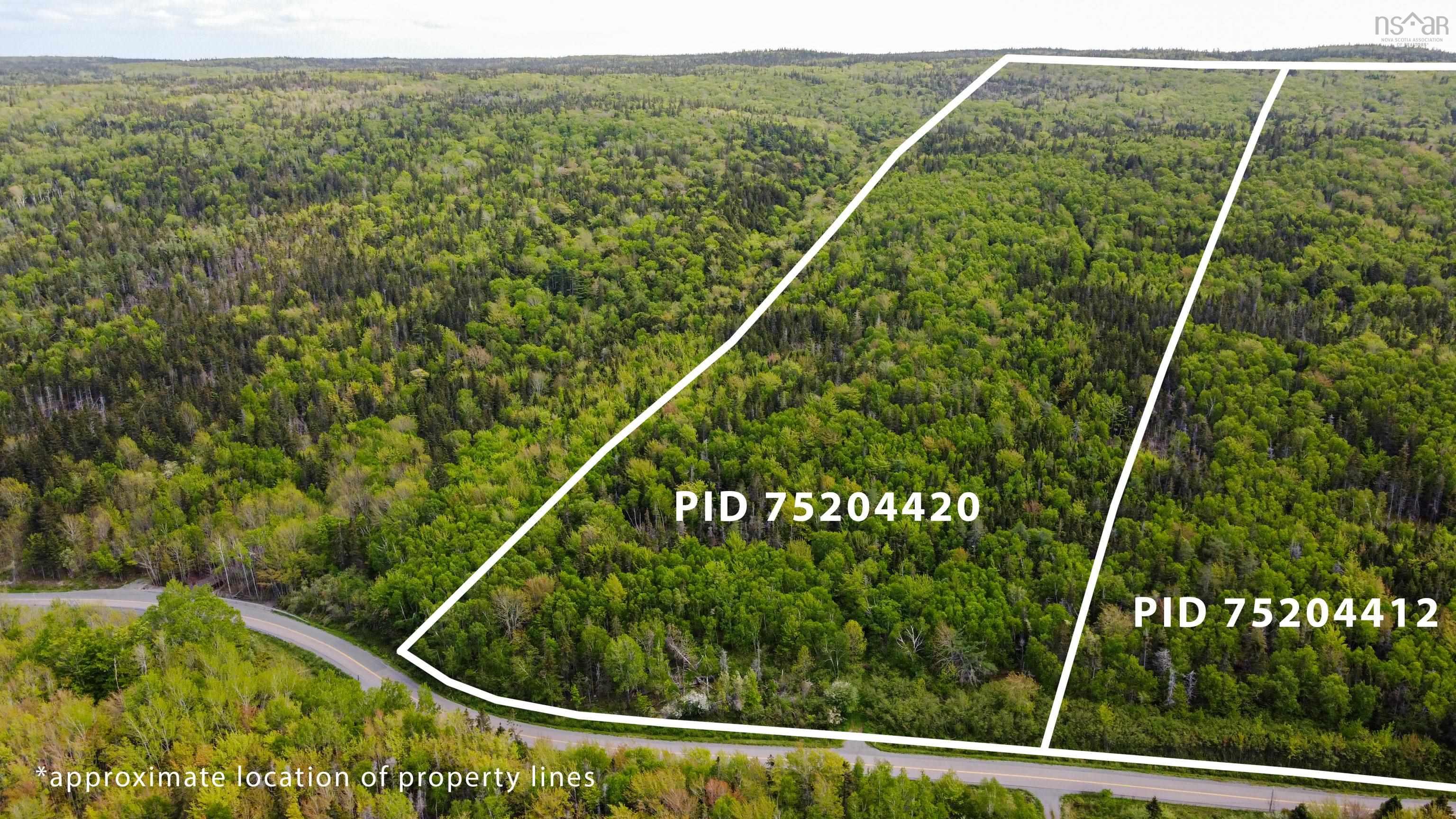 Lot 2001-2c1 West Bay Highway, Roberta NS B0E 2K0, ,Land,For Sale,Lot 2001-2c1 West Bay,202320137