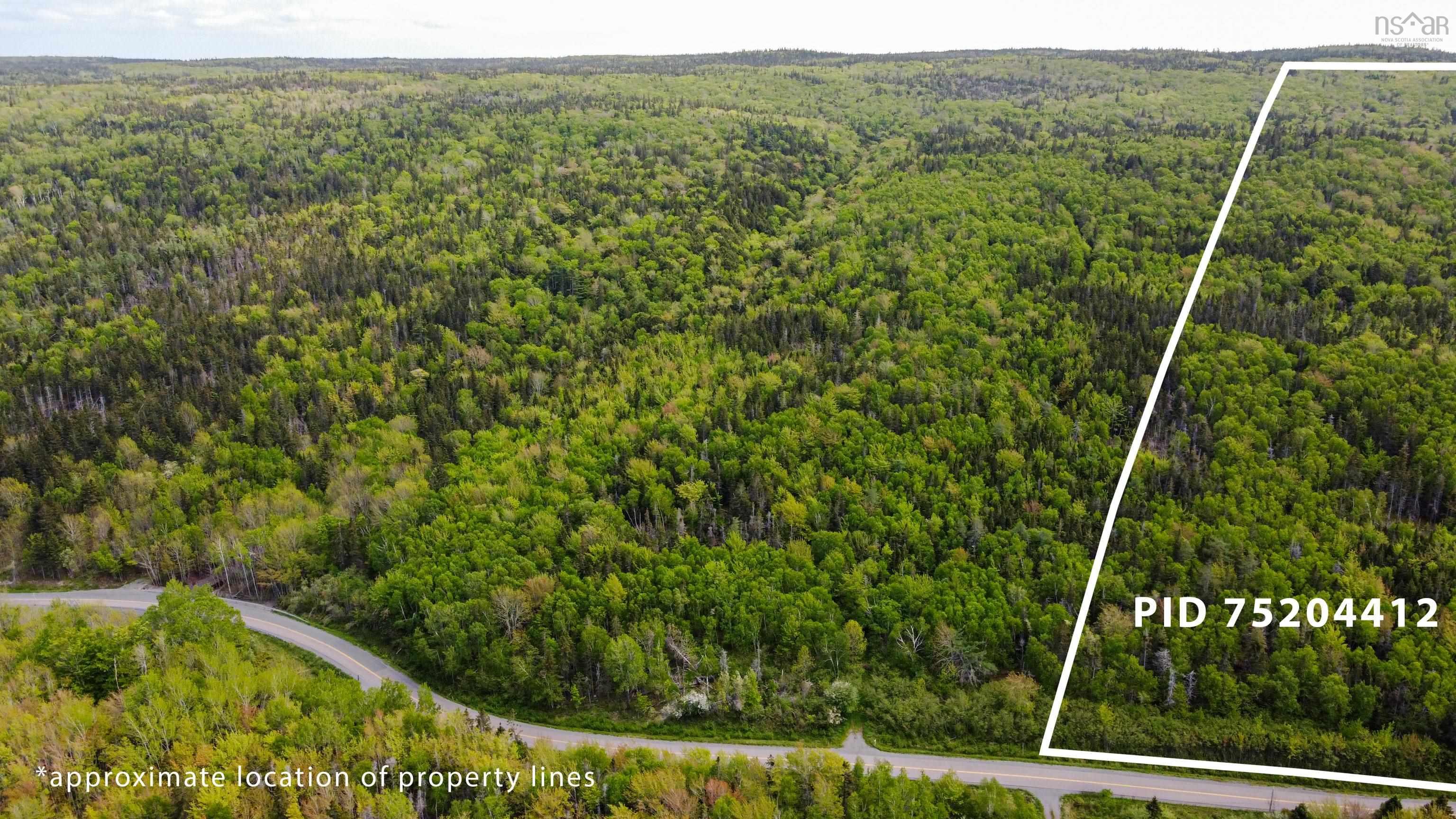 Lot 2001-2c1 West Bay Highway, Roberta NS B0E 2K0, ,Land,For Sale,Lot 2001-2c1 West Bay,202320137
