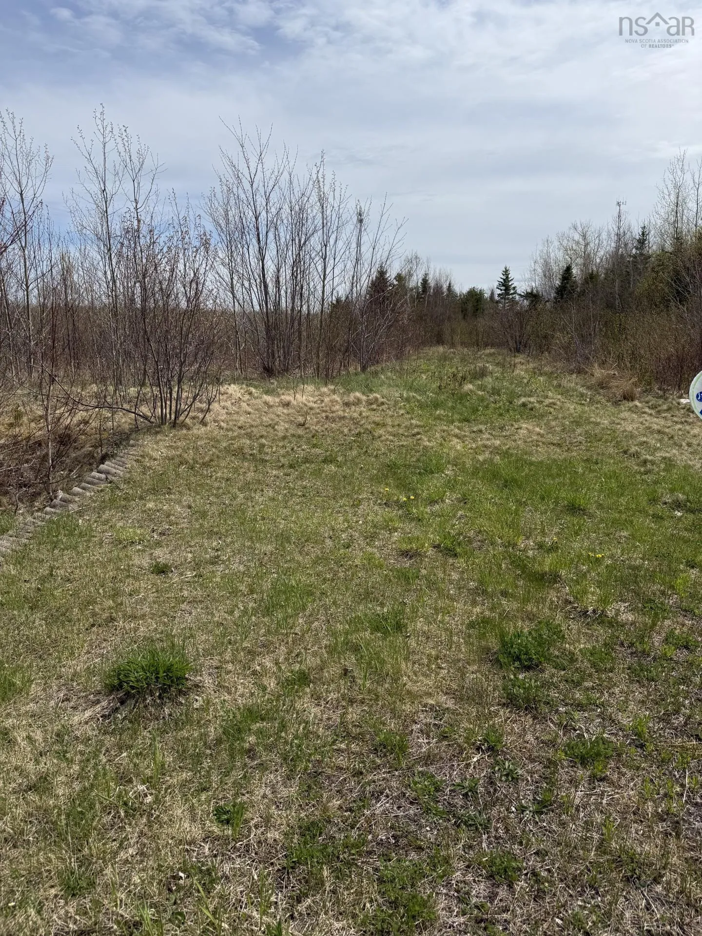 No. 104 Highway Lower South River, Lower South River Ns B2g 0e7, ,Land,For Sale,No. 104 Highway Lower South River,202510737