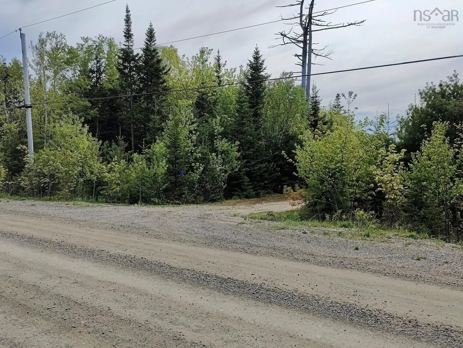 Grand Mira Highway S Lot A, Grand Mira South, NS B1K 1K7, ,Land,For Sale,Grand Mira,202513639