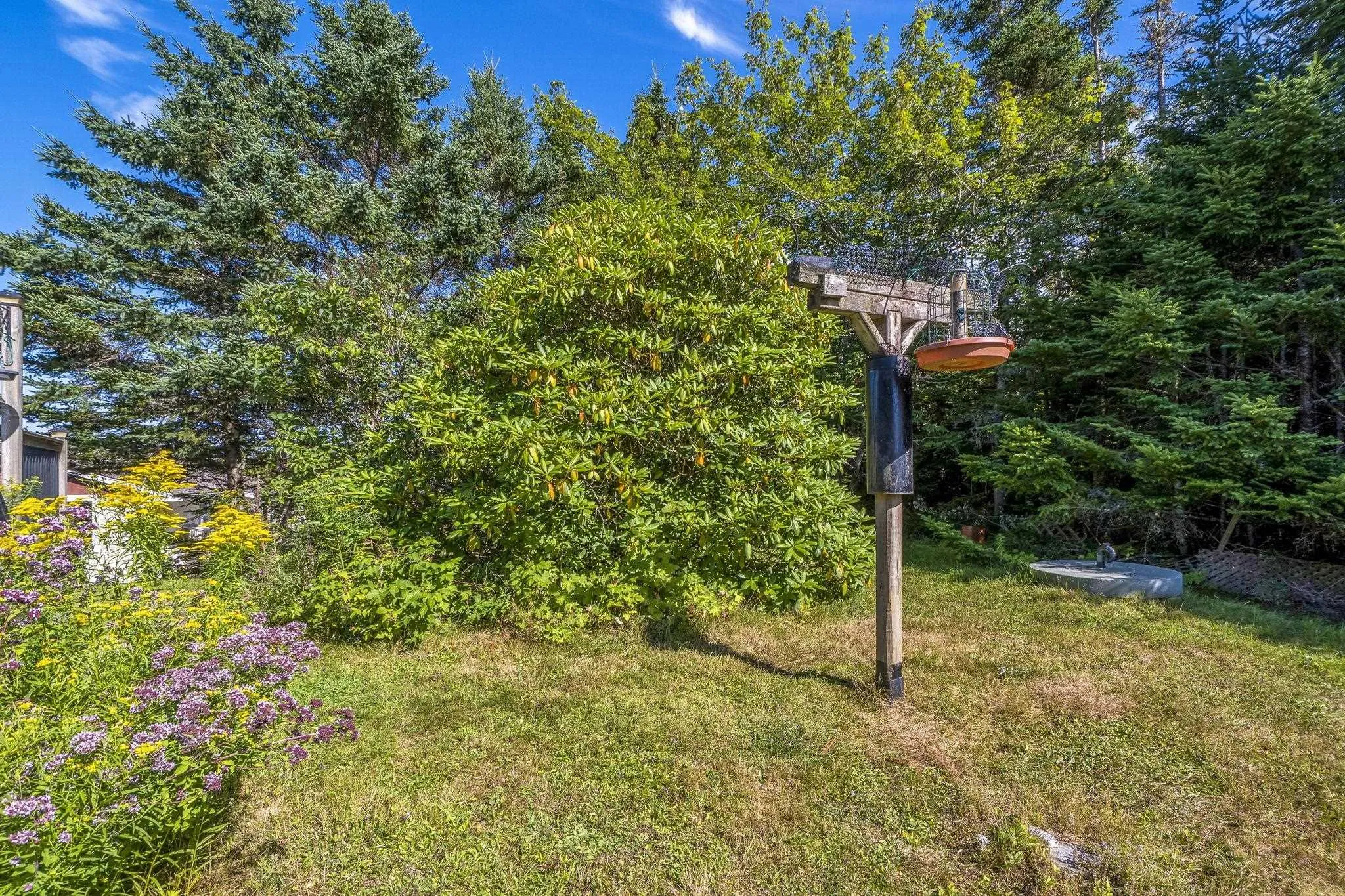 369 Sambro Creek Road, Sambro Creek, NS B3V 1E9, 3 Bedrooms Bedrooms, ,2 BathroomsBathrooms,Residential,For Sale,Sambro Creek,202521394
