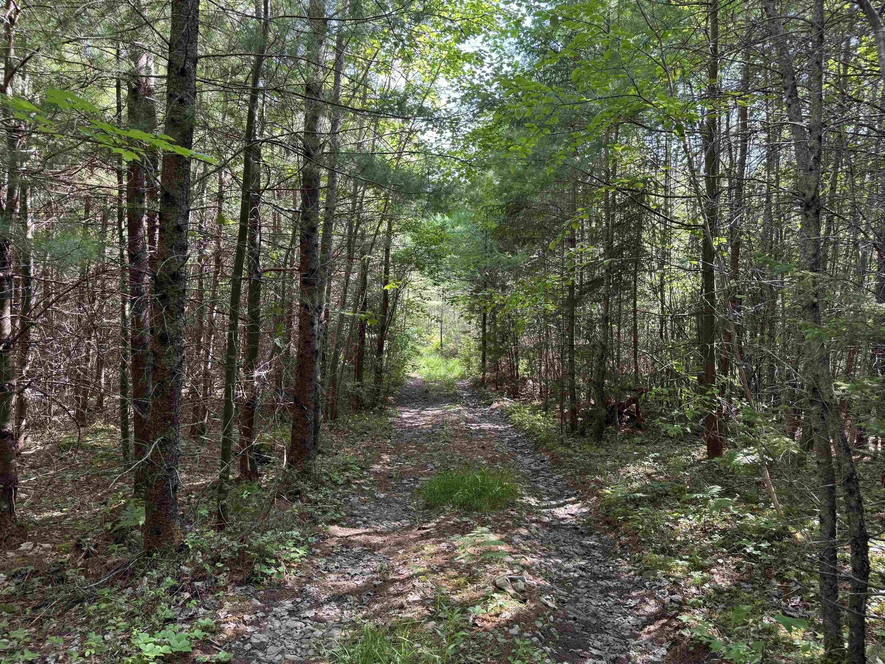 1926 Southside River Denys Rd., River Denys, NS B0E 2Y0, 5 Bedrooms Bedrooms, ,2 BathroomsBathrooms,Residential,For Sale,Southside River Denys Rd.,202522337