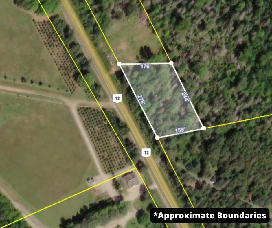 6908 Highway 12, Aldersville, NS B0J 2M0, ,Land,For Sale,Highway 12,202517681