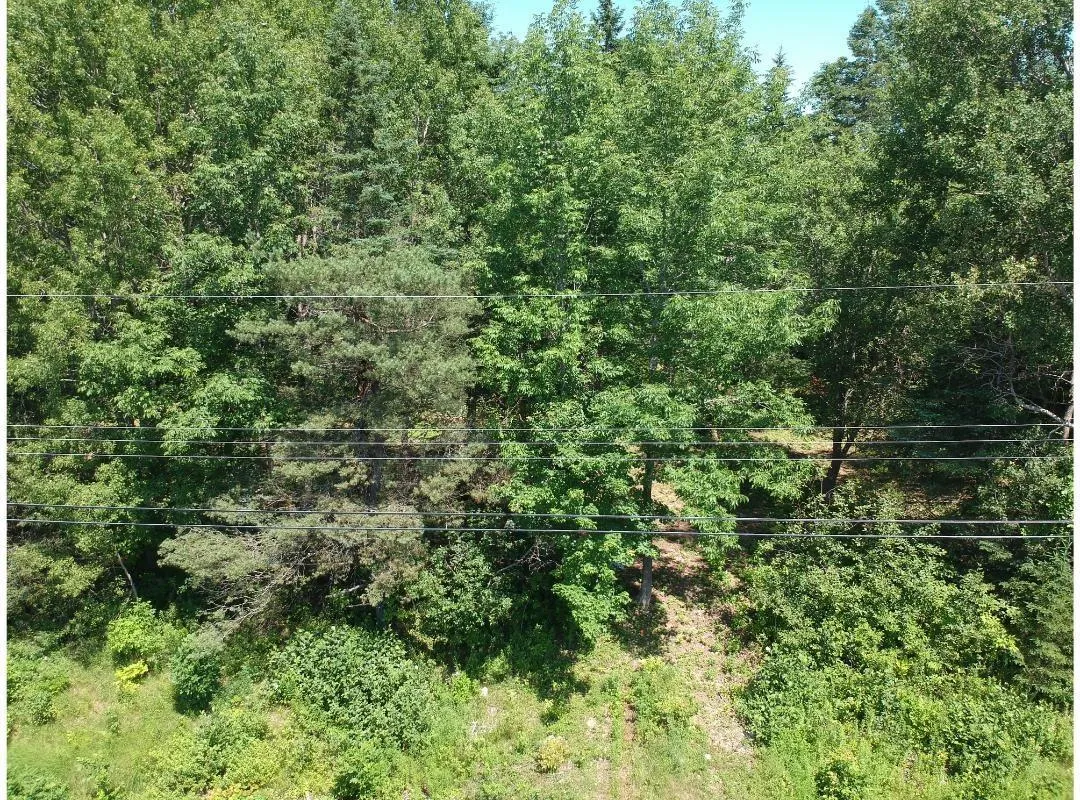 6908 Highway 12, Aldersville, NS B0J 2M0, ,Land,For Sale,Highway 12,202517681