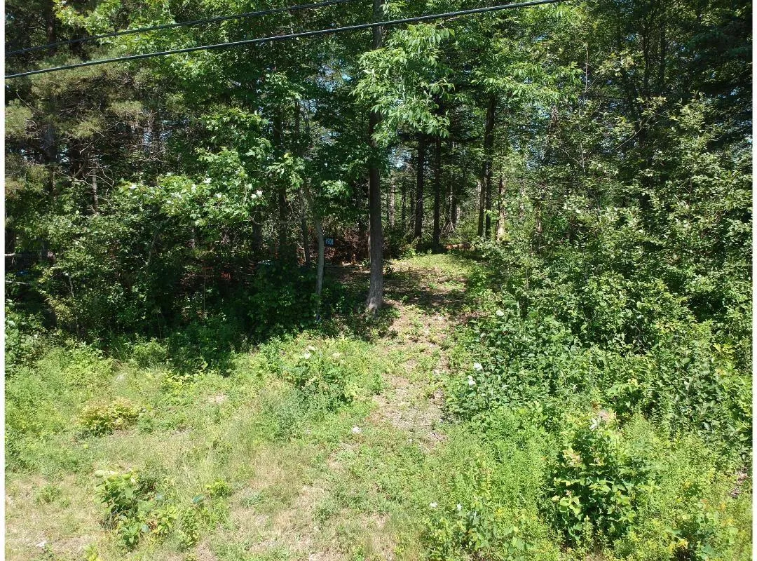 6908 Highway 12, Aldersville, NS B0J 2M0, ,Land,For Sale,Highway 12,202517681