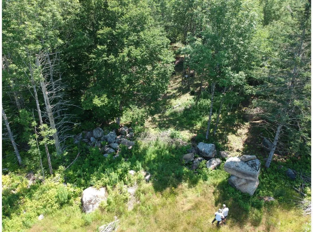 6908 Highway 12, Aldersville, NS B0J 2M0, ,Land,For Sale,Highway 12,202517681