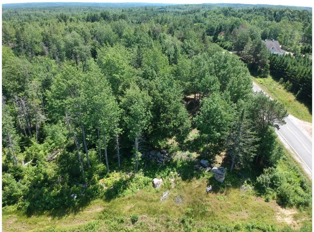 6908 Highway 12, Aldersville, NS B0J 2M0, ,Land,For Sale,Highway 12,202517681