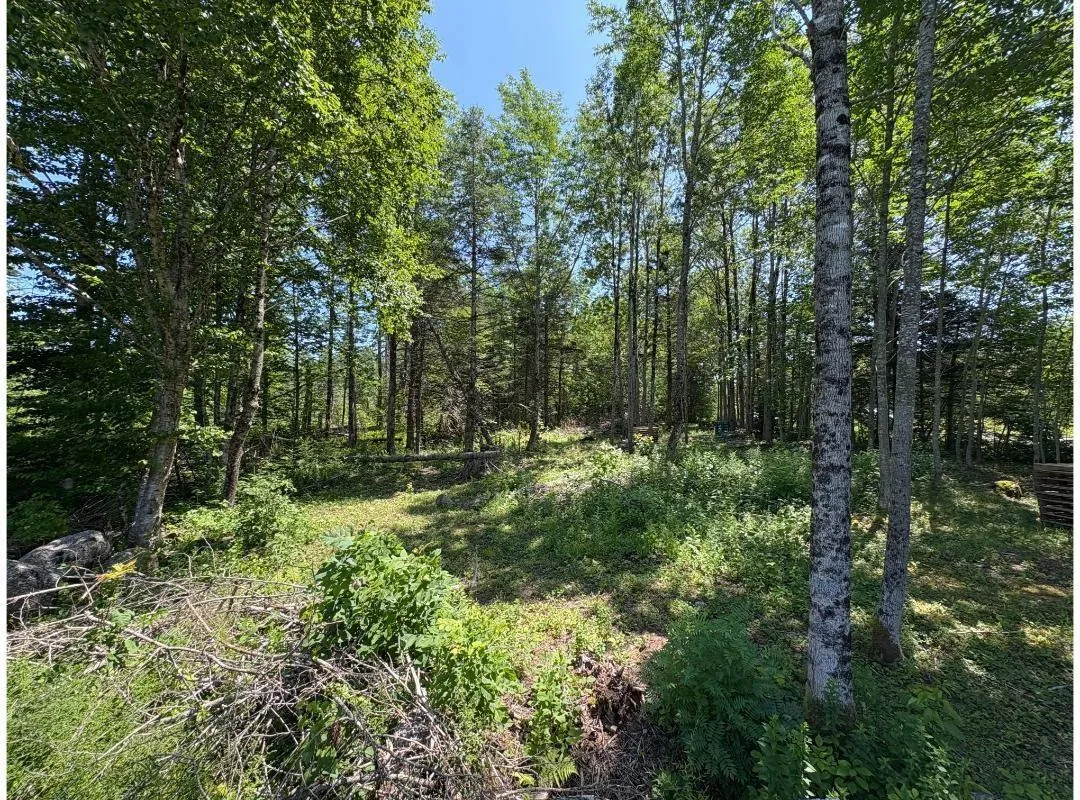 6908 Highway 12, Aldersville, NS B0J 2M0, ,Land,For Sale,Highway 12,202517681