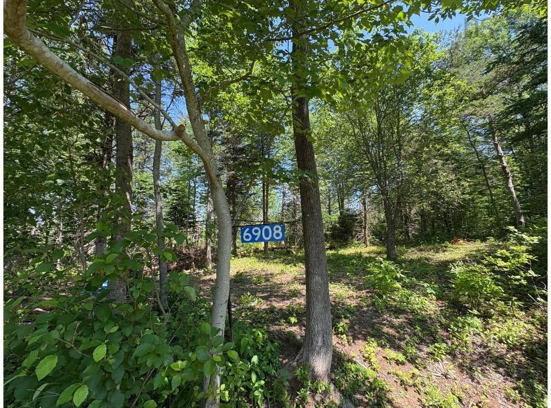 6908 Highway 12, Aldersville, NS B0J 2M0, ,Land,For Sale,Highway 12,202517681