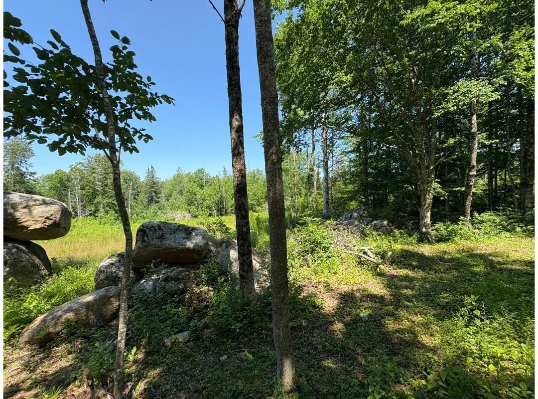 6908 Highway 12, Aldersville, NS B0J 2M0, ,Land,For Sale,Highway 12,202517681
