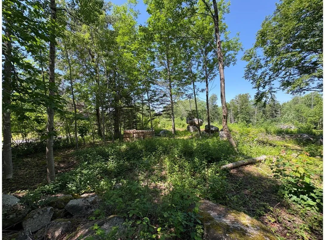 6908 Highway 12, Aldersville, NS B0J 2M0, ,Land,For Sale,Highway 12,202517681
