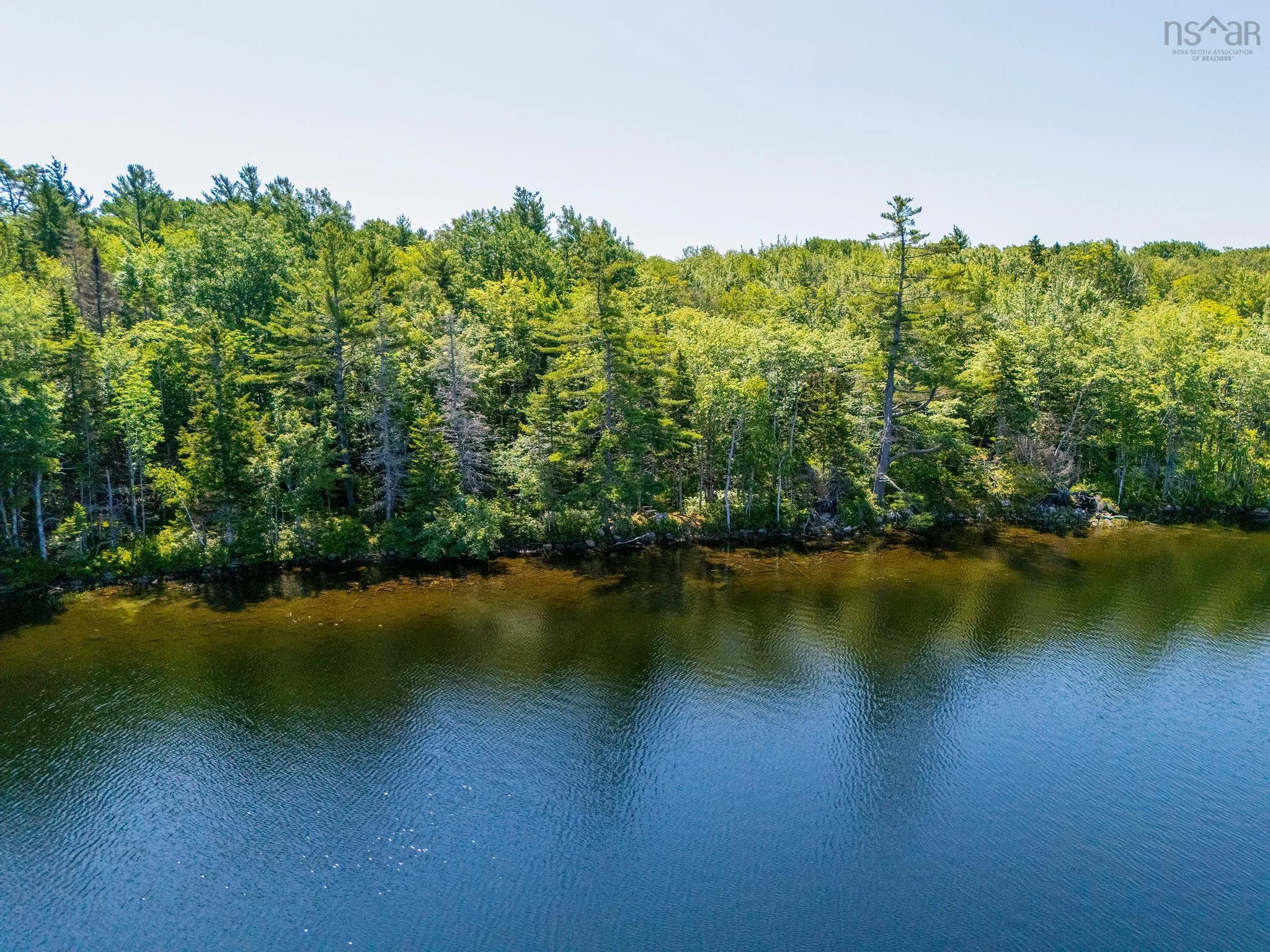 241 Bill Berry Road, Princedale, NS B0S 1G0, ,Residential,For Sale,Bill Berry,202517710