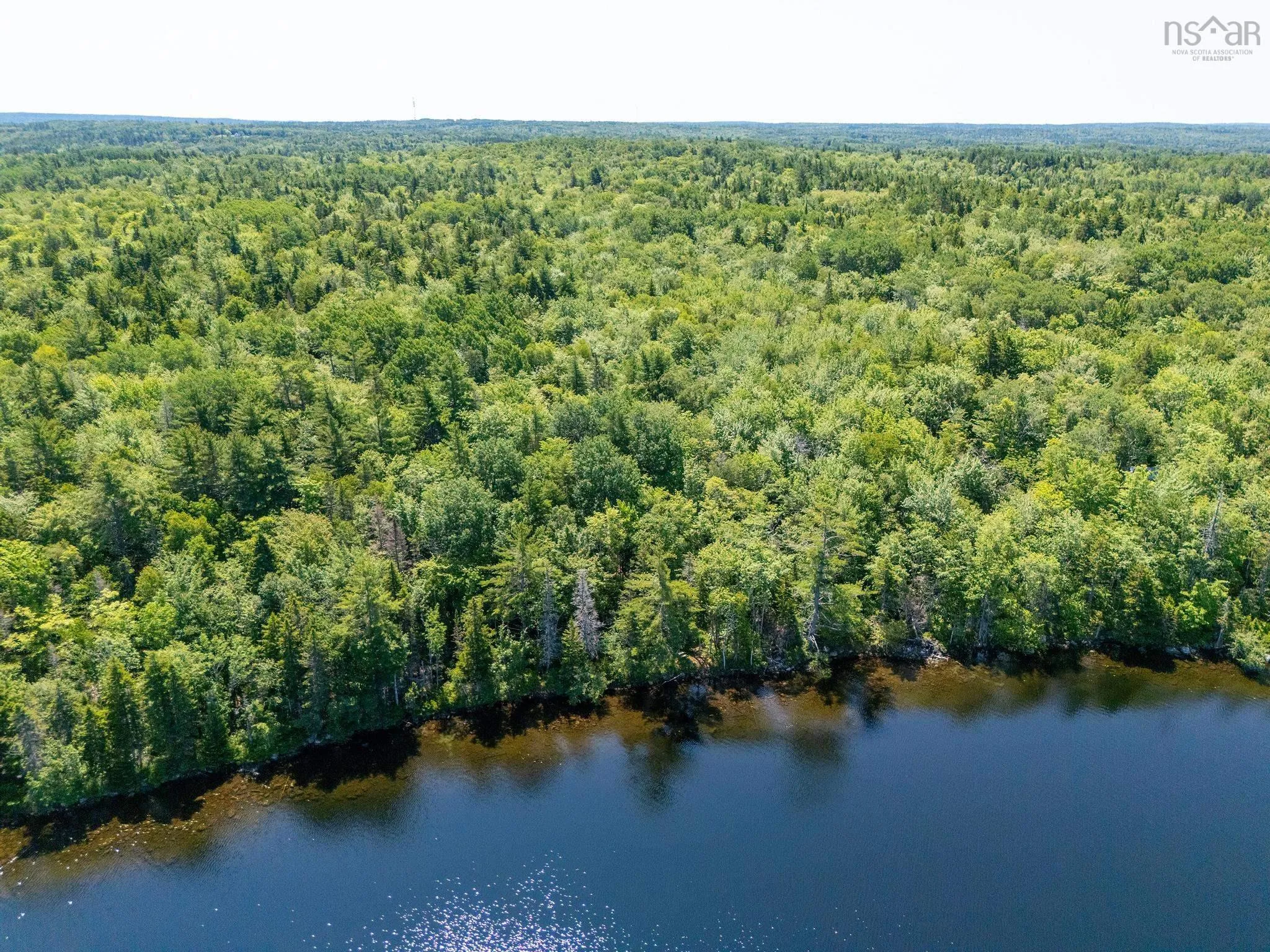241 Bill Berry Road, Princedale, NS B0S 1G0, ,Residential,For Sale,Bill Berry,202517710