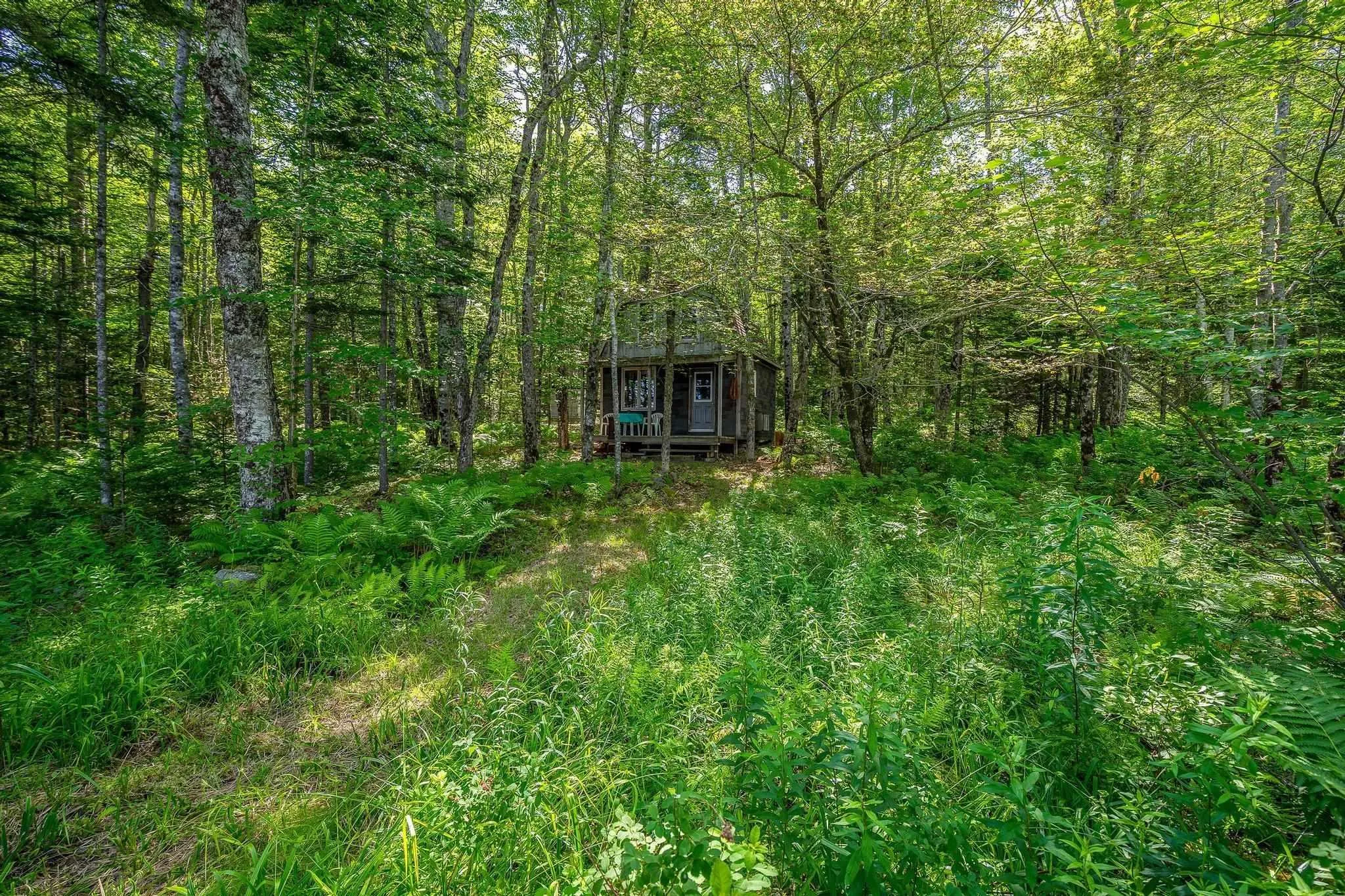 241 Bill Berry Road, Princedale, NS B0S 1G0, ,Residential,For Sale,Bill Berry,202517710