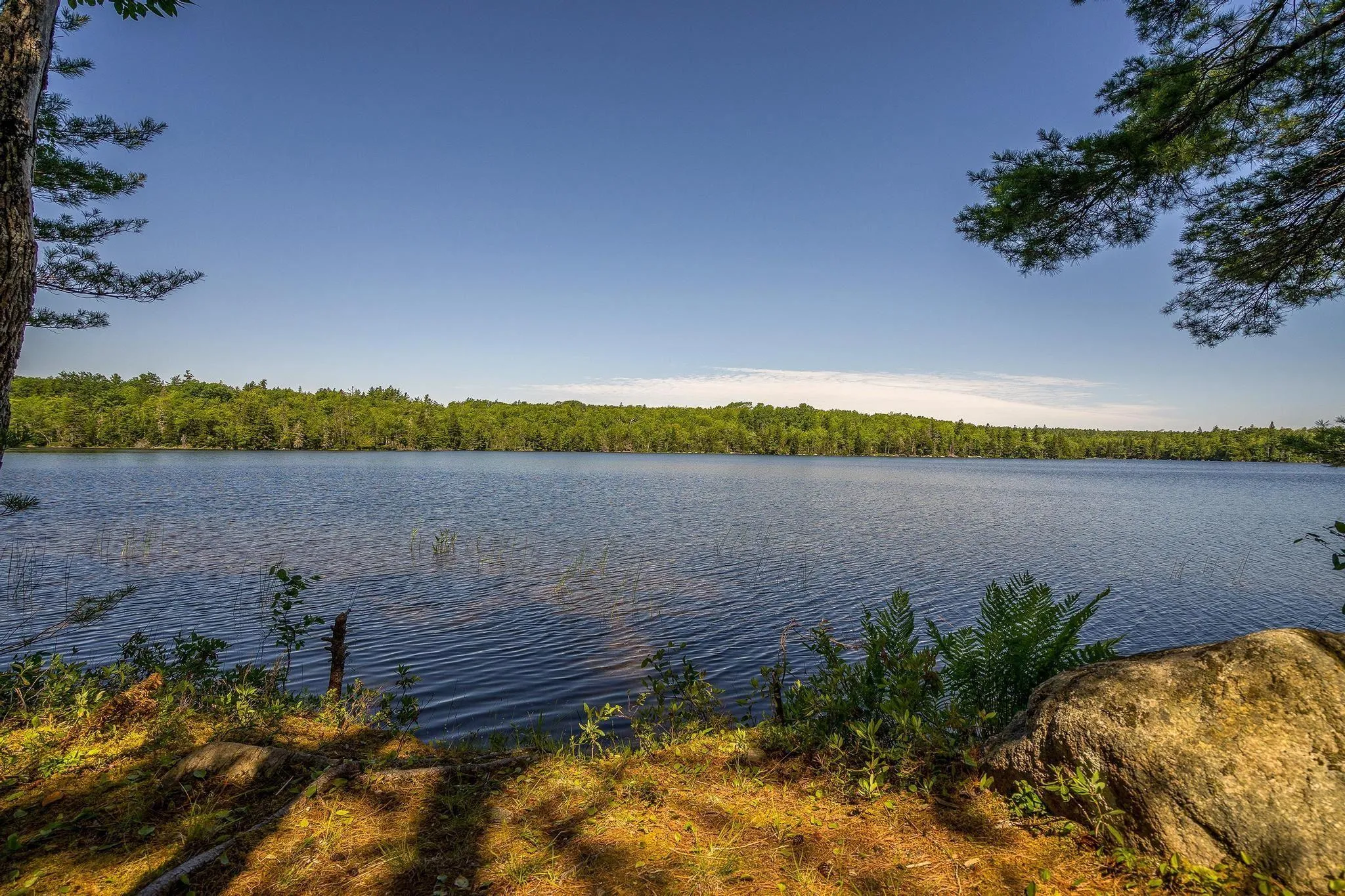 241 Bill Berry Road, Princedale, NS B0S 1G0, ,Residential,For Sale,Bill Berry,202517710