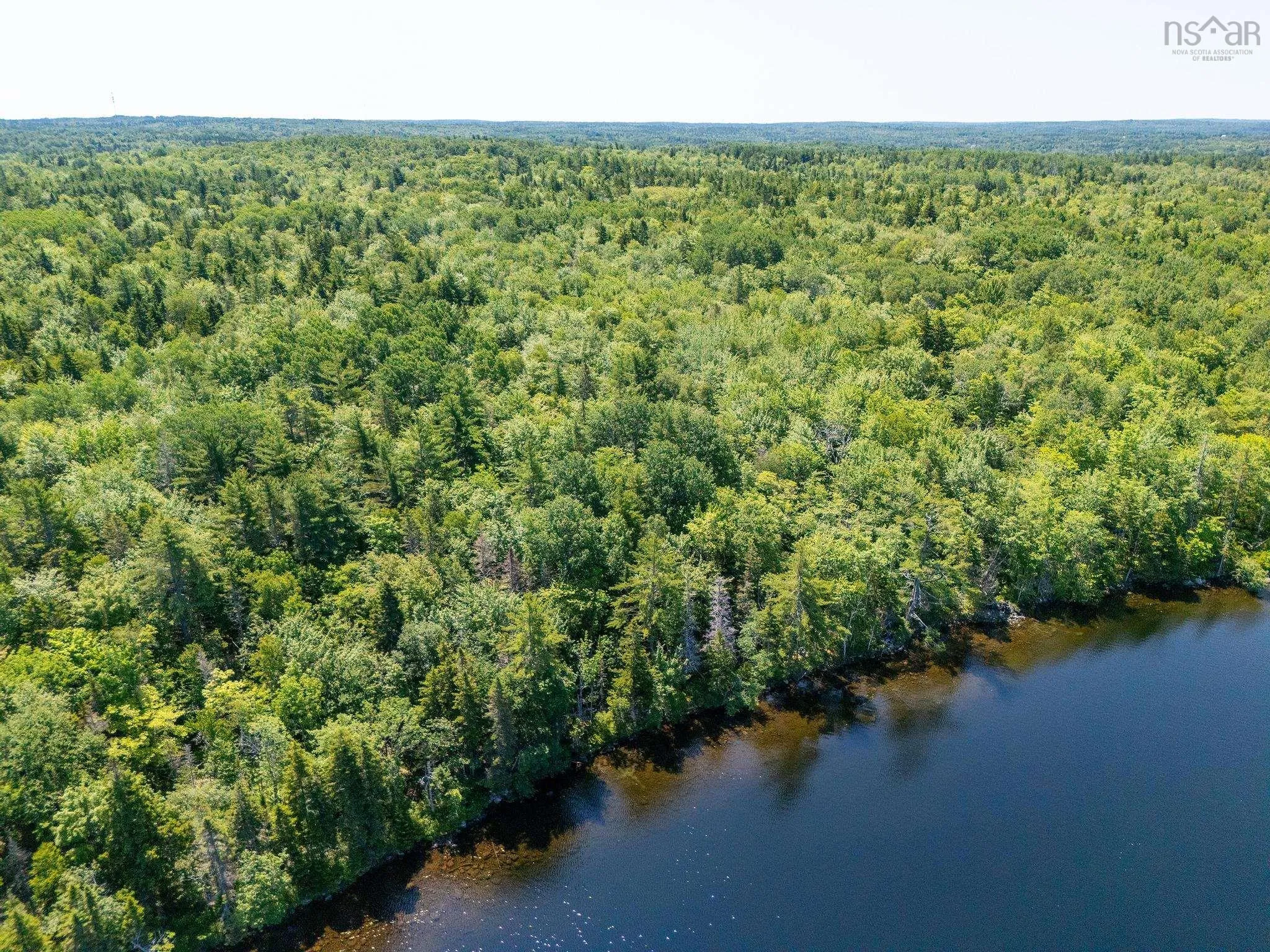 241 Bill Berry Road, Princedale, NS B0S 1G0, ,Residential,For Sale,Bill Berry,202517710