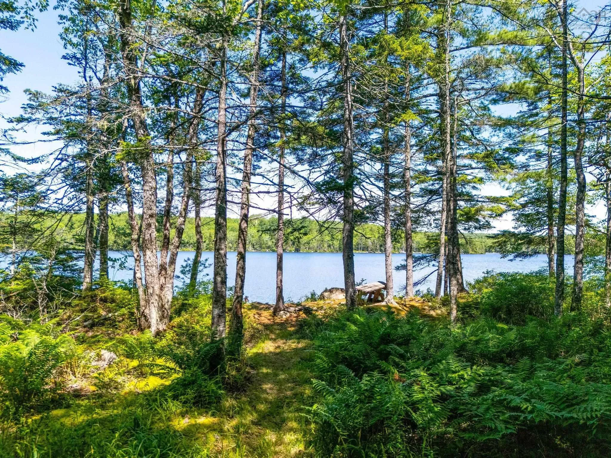 241 Bill Berry Road, Princedale, NS B0S 1G0, ,Residential,For Sale,Bill Berry,202517710