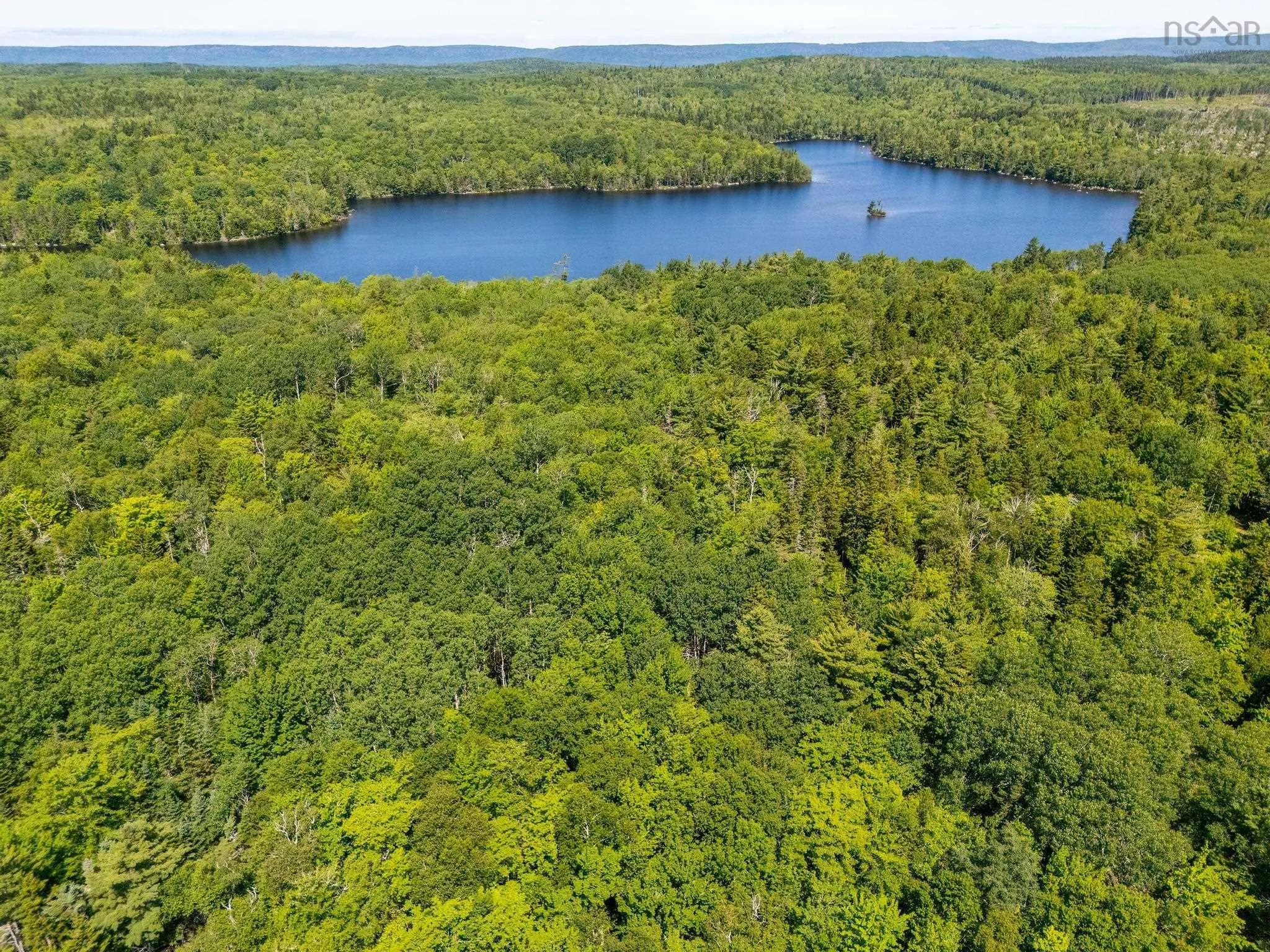 241 Bill Berry Road, Princedale, NS B0S 1G0, ,Residential,For Sale,Bill Berry,202517710