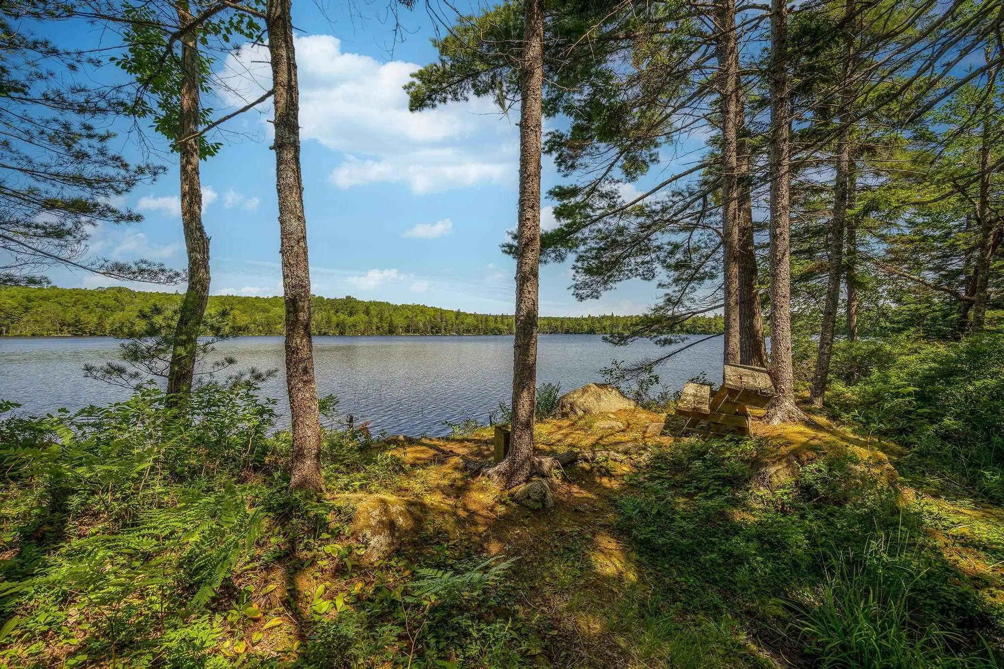 241 Bill Berry Road, Princedale, NS B0S 1G0, ,Residential,For Sale,Bill Berry,202517710